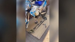 Замена масла на китайце Regulmoto Aqua Sport 170FMM