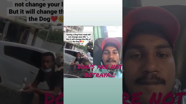 Dog #arunyadav