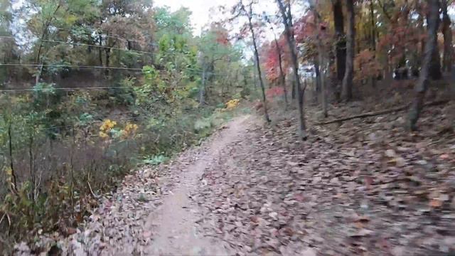 Ozone Trail | Coler Preserve Bentonville Arkansas смотреть онлайн