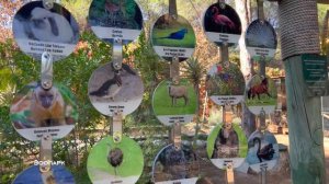 ЗИМНЯЯ КОНЦЕПЦИЯ BELLIS DELUXE RESORT 2022-2023