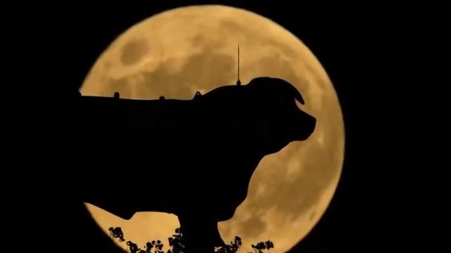 Лиличка! Вместо письма (Маяковский)