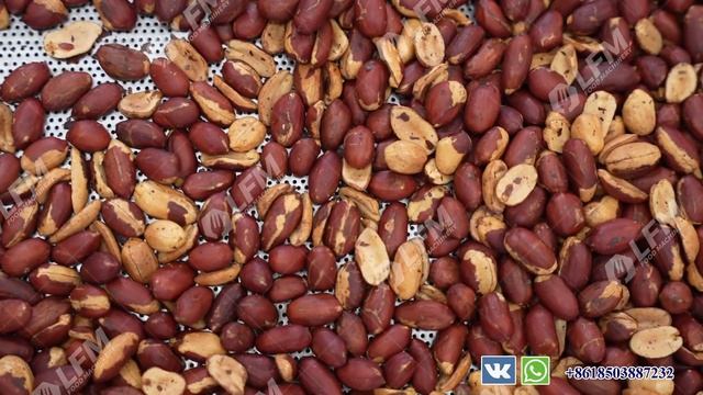 Линия по производству арахисовой пасты.Оборудование для изготовления арахисовой пасты