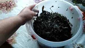Удобрение. Дешево и сердито.