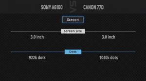 Sony A6100 vs Canon 77D  [Camera Battle]