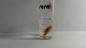 Опыты с хлоридом железа (III).Получение ацетата железа(III) и гидроксида железа(III).