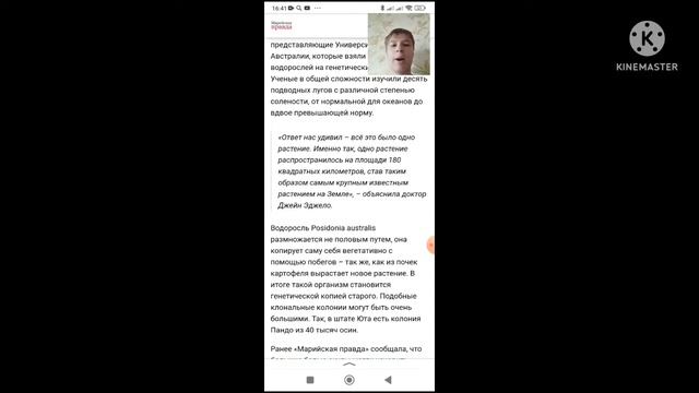 В Австралии было найдено самое большое растение в мире смотреть онлайн