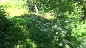 Святой источник Николая Чудотворца.=1=