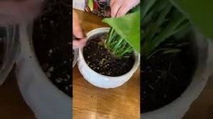 Почему женское счастье не цветёт? Ответы на все вопросы