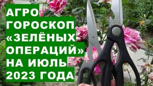 Агрогороскоп "зелёных операций" на растениях сада и огорода в июле 2023 года