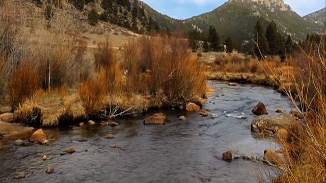 СЯДЕМ С ОТЦОМ НА КРЫЛЕЧКЕ ВДВОЕМ смотреть онлайн