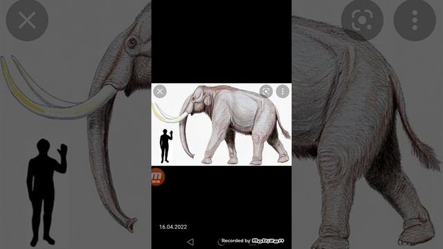 Степной мамонт против тигрекса (Monster hunters world) смотреть онлайн