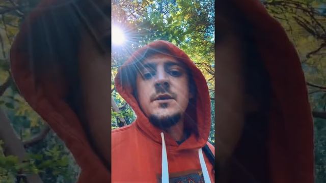 Кемпинг в США, национальный парк Redwoods и Тихий океан. Кринжовый выпуск с двухдневной поездки. смотреть онлайн