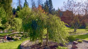 ДОДЕЛКИ / ПЕРЕДЕЛКИ. МОСТИК / РУЧЕЙ / ДОМИК У КОЛОДЦА. Дачный креатив.