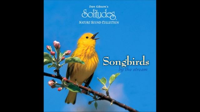 Songbirds by the Stream - Dan Gibson