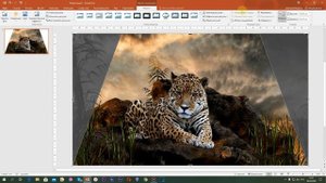 Урок №6 Как обрезать картинку в PowerPoint