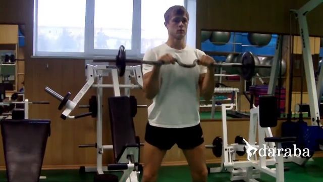 Сгибания рук обратным хватом стоя (штанга) смотреть онлайн
