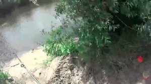 Карасевая рыбалка на работе. Отчеты о рыбалке.