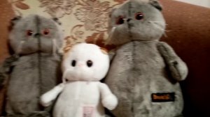 Знакомство с  басиками