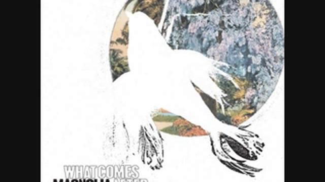 I Can Not Have Seen The Light -- Magnolia Electric Co. смотреть онлайн