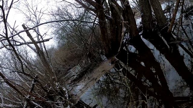 ОХОТА С БРАТОМ НА БОБРА если хочешь быть Охотником и есть у Тебя терпение. смотреть онлайн