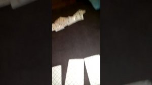 Очень крутой фокус с этими картами а он называется три дамы