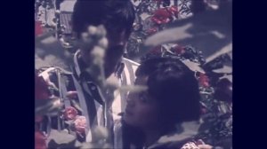Alex Ebert - Truth