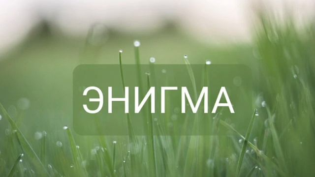 Enigma covers 2021. прежде полюбите себя психология. музыка для сна энигма. музыка для сна энигма. энигматика 2.