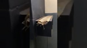 Воздушный теплогенератор Termico на дровах 30 кВт. Отопление цеха.