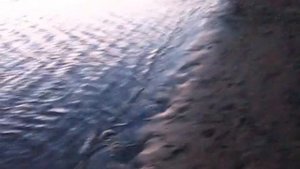 рыбалка.енисей.тугун.сибирь.