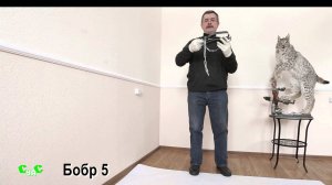 Капкан промысловый БОБР-5  СУАС