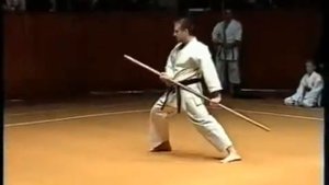 Карате Дзесинмон Чемпионат Евразии Часть 3