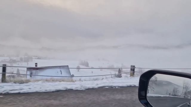 Едем в Закарпатье с Мариной
