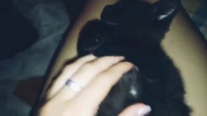 Ночую у подруги - Вики./Ночёвка с подругой/love лика❤️/