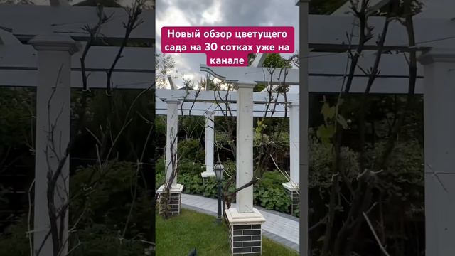 Обзор цветущего сада на 30 сотках уже на канале‼️ ссылка в описании
