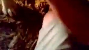 Парень залез в собачью конуру  Баря и бабушка