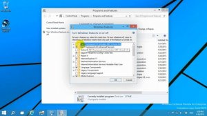 How to fix Vegas Pro ".NET runtime could not be initialized" error (Windows 10 TP, Error 0x80131700