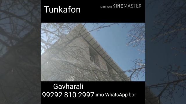 Тункафон Таджикистан USTA +99292 810 2997 Gavharali imo WhatsApp bor смотреть онлайн