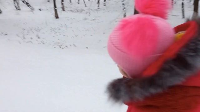 VLOG Выгул собаки зимой.Что делать? (Dog walking in winter.What to do?) смотреть онлайн