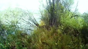 Семейный отдых на Сусамыре. Рыбалка на форель. Кыргызстан.