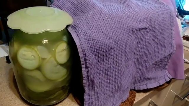 Квашеные кабачки, патиссоны, огурцы. Ферментированные продукты.