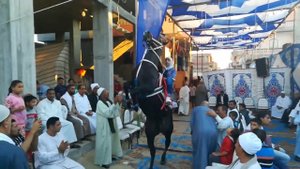 Arab Girl Dancing Horse - Riding Lovers Арабка гарцует на лошади Круто