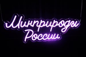 Урок Природоведения