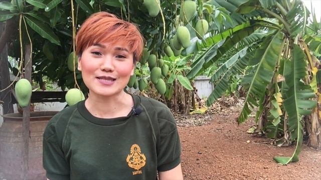 16 MUST-KNOW SLANG คำสแลงต้องรู้ | Learn Thai with Shelby смотреть онлайн