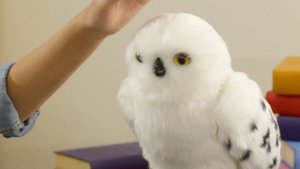 Unlock magical experiences with Enchanting Hedwig! Harry Potter Wizarding World