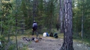 Рыбы море 1 ????