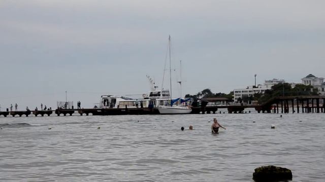 Чайки на море, очень красиво... Крым! смотреть онлайн