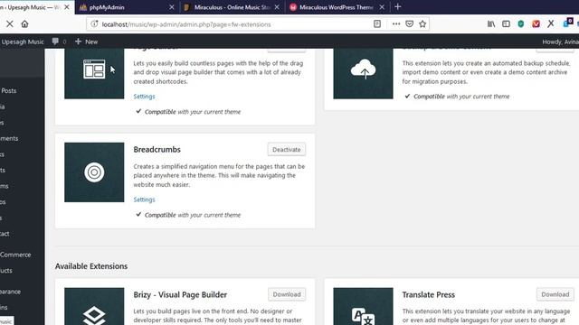 Setting and Installing Demo Content of Miraculous Online Music Store WordPress Theme смотреть онлайн