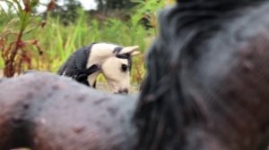 Проект 2022 Сериал "Шериф" / 5 серия.