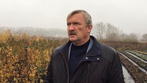 Зизифус подготовка к зиме