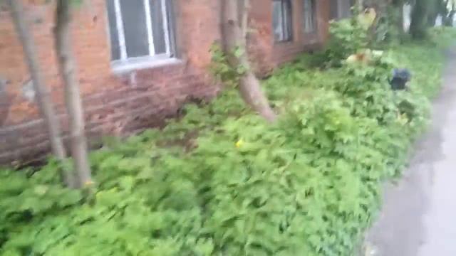 2017.06.03 - Посёлок Правдинский Пушкинского района смотреть онлайн